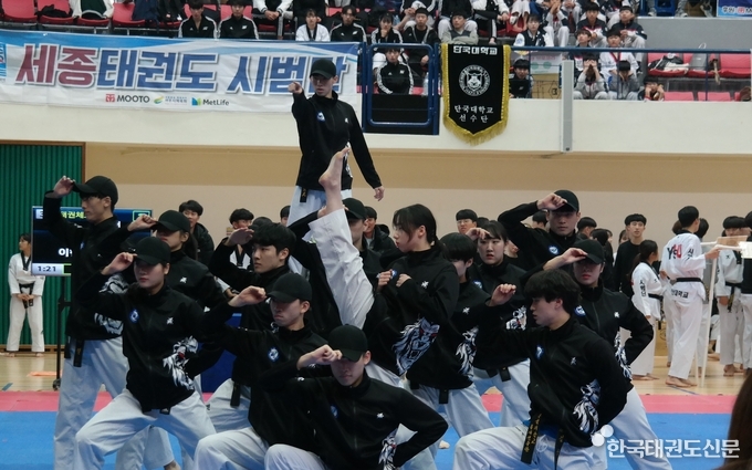 개회식 후 시범단의 시범 모습