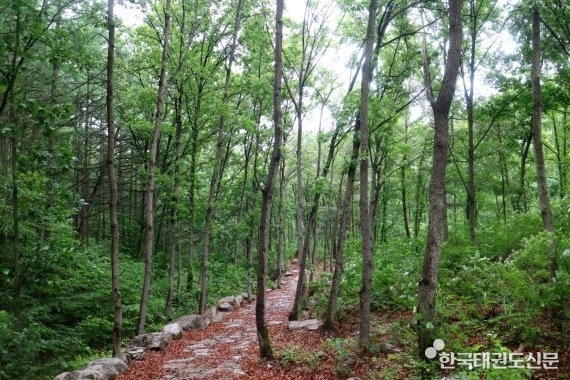 무주 태권도 명상숲길. 사진=무주군 제공
