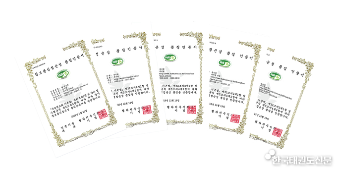 5회 연속으로 획득한 국기원 누리집의 ‘웹 접근성 품질인증서’.