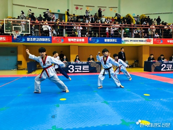 2019년도 은평구청장기태권도대회 모습