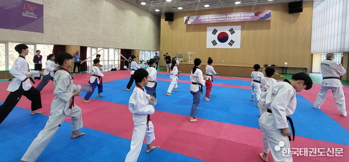품새 세미나 참가자들이 훈련하고 있는 모습(장소: 태권도원 평원관)