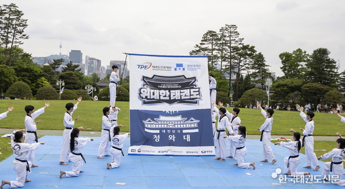 위대한 태권도 공연(장소: 청와대 대정원)