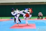 제102회 전국체육대회 경남대표선수 최종 선발전 성황리에 마무리