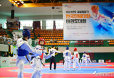 '2023년도 경찰청장기 전국 단체대항태권도대회' 영천에서 화려하게 개막