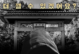 국기원, 개원 52주년 특집 영상 콘텐츠 ‘격파왕’ 오는 14일(금) 공식 유튜브서 첫 공개!