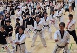 태권도로 하나되는 세상! 제18회 부안군수배 및 협회장배 태권도 대회 성공적 마무리